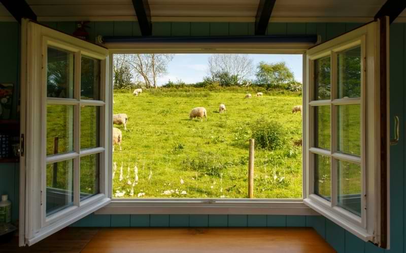 Looking through an open window onto a green field full of sheep.