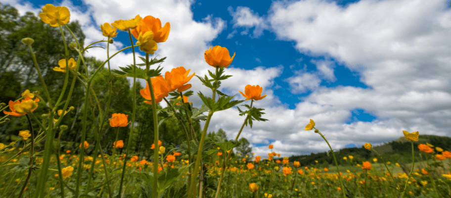 How To Welcome More Guests To Your Hotel In Spring